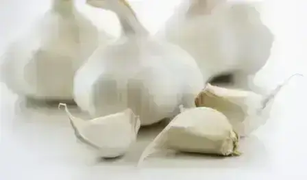 GarlicHerb