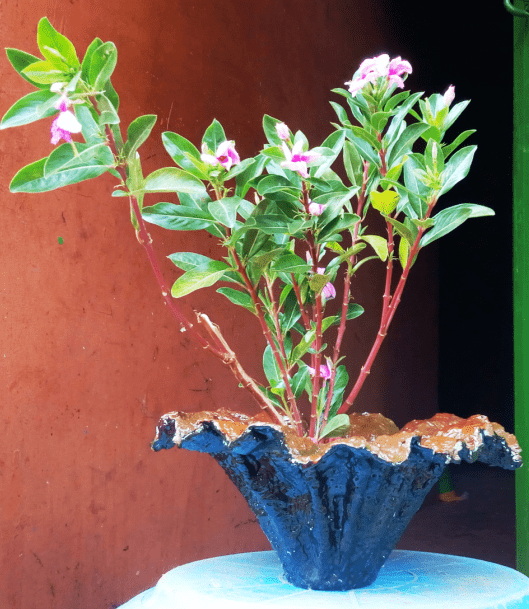 black coloured small flower vase