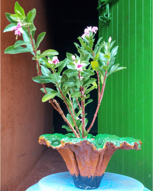 orange coloured small flower vase