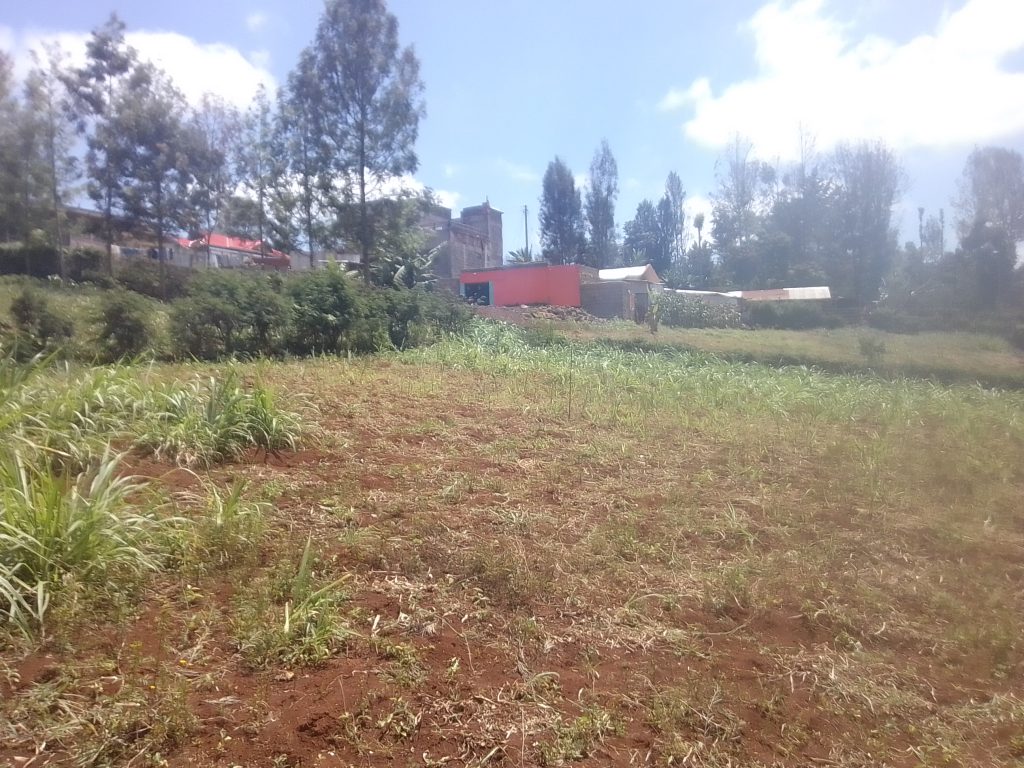 Buy plot of in Nyeri, Kenya, involves several steps