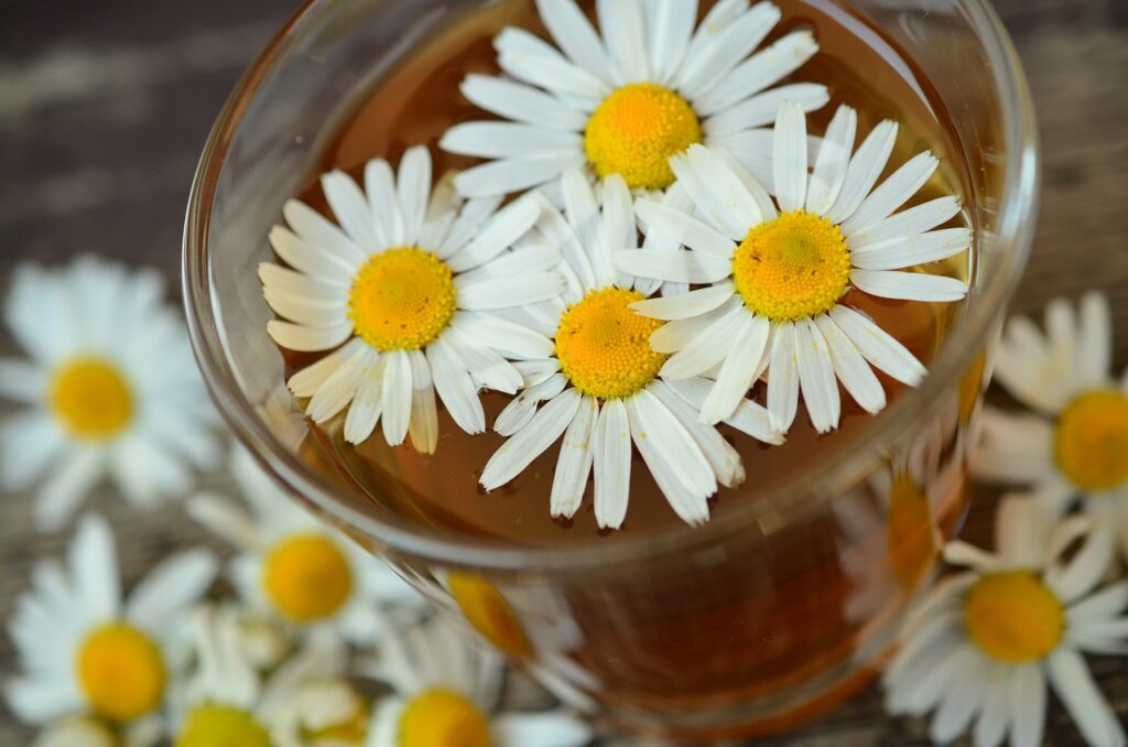 benefits of drinking chamomile tea