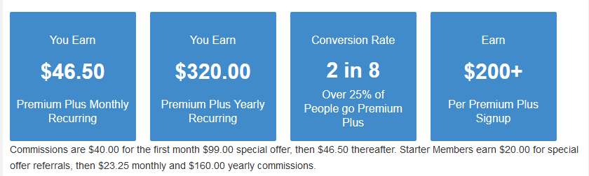 Wealthy Affiliate Earnings