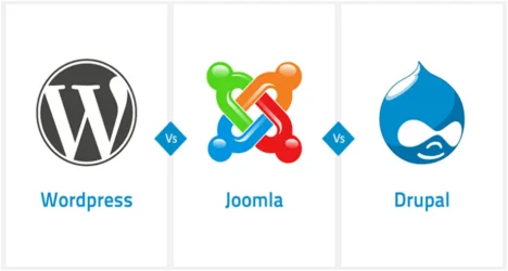 Importance Of Backlinks