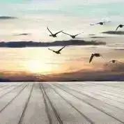 Travel Travel